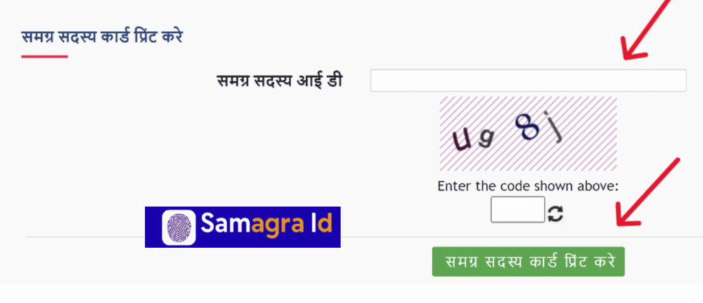 समग्र संख्या कार्ड प्रिंट करें