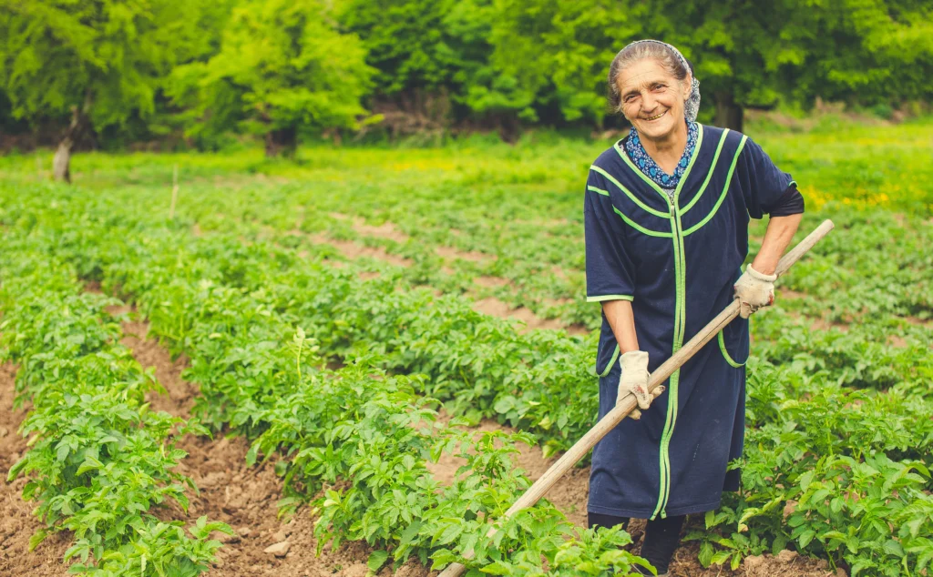 Farmer ID 6 Farmer ID MP 2025